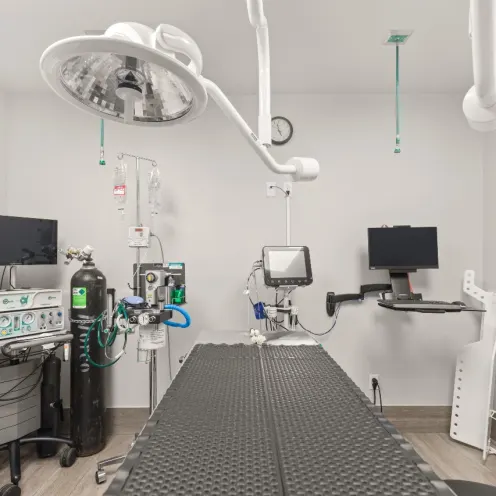 Surgery suite at All Pet Complex Veterinary Hospital